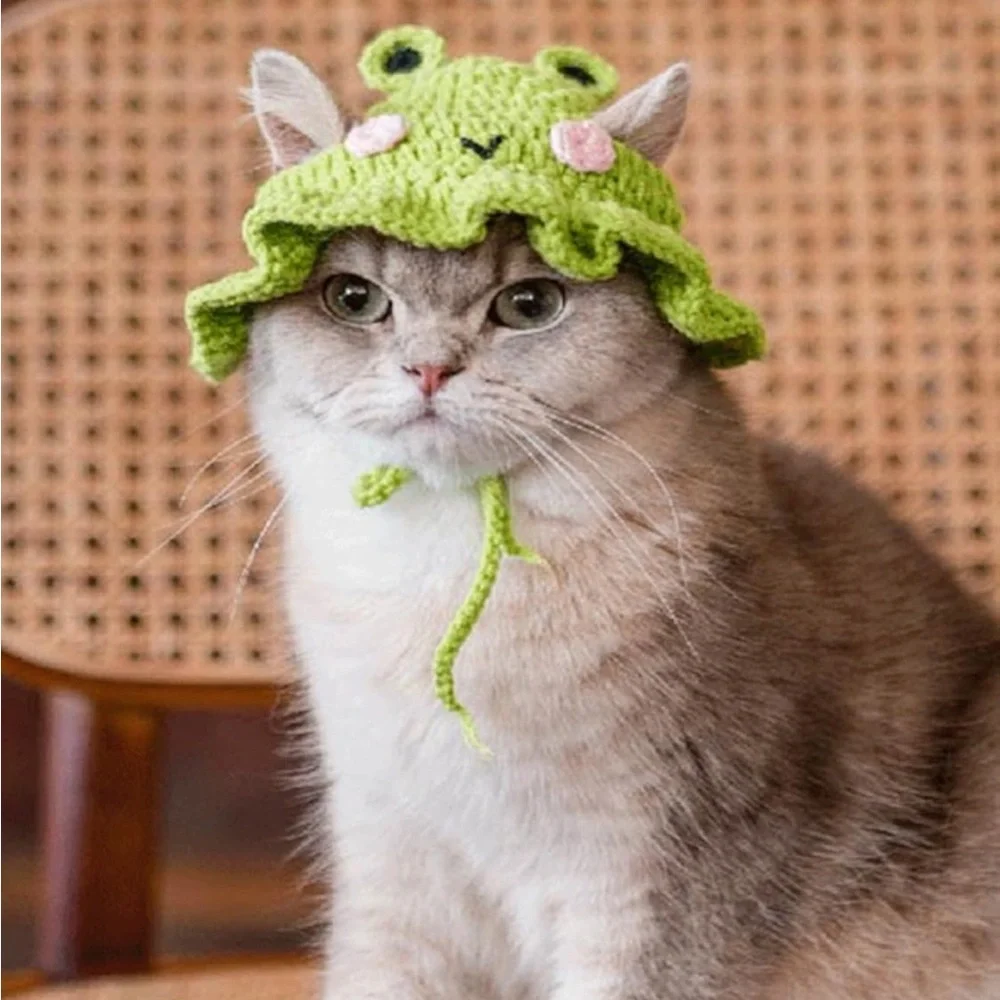 Green Crochet Cat Frog Hat with Pink Accents - Picture 3 of 4
